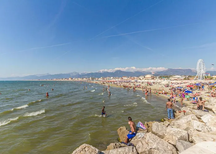 Apartment Stunning In *